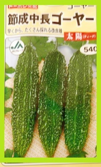 ゴーヤの種蒔きしました☆
