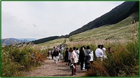 箱根・仙石原のススキ見物(´▽｀*)