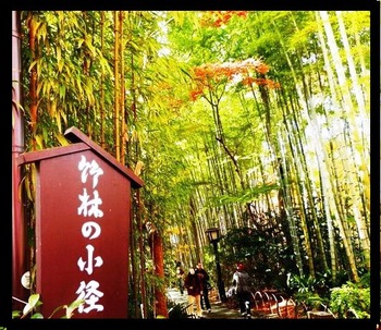 修善寺・竹林の小径