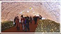 時の栖イルミネーション★御殿場