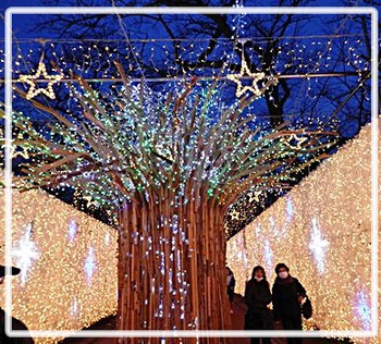 時の栖イルミネーション★御殿場