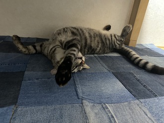 熱いですね～ばてています