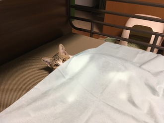 休日はこの子たちに癒されて・・・