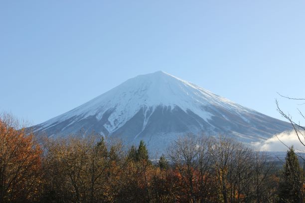 冬らしく