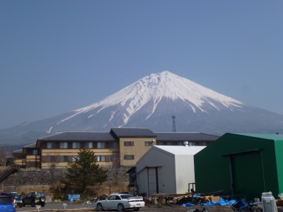 少し春めいてきました