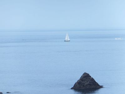 三四郎島の道で　シュノしてるんけー