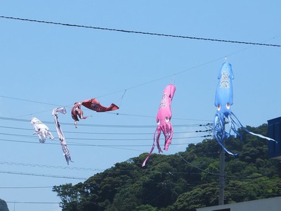 いか様　飛んだぁー！