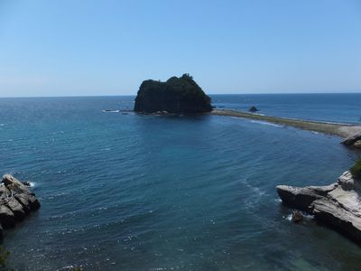 にぎやかに海の道　満開！