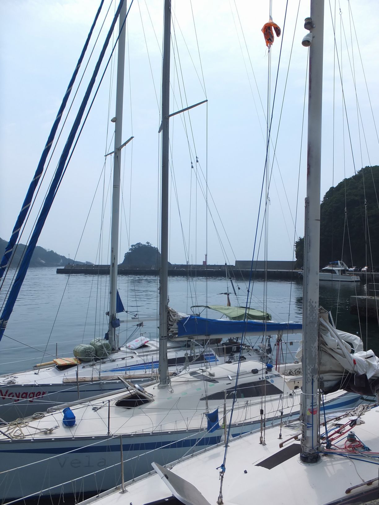 ヨッターが寄ったー　仁科港