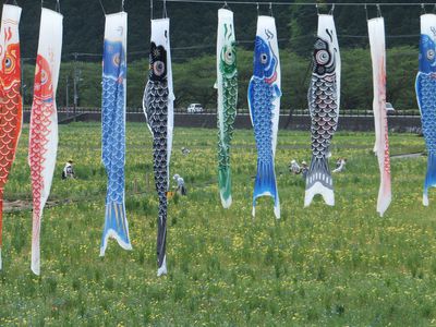 ☆田んぼの花畑☆に人がいっぱい
