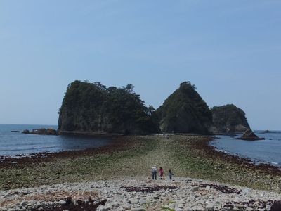 来ましたー　満開です　大にぎわい海の道！
