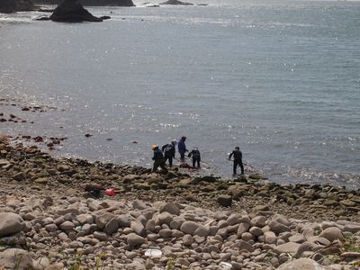 天草拾いってー？海の道