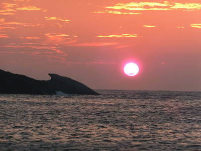 夕陽のあの娘　海に帰ります―