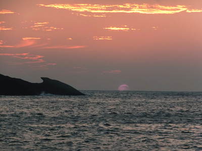 夕陽のあの娘　海に帰ります―