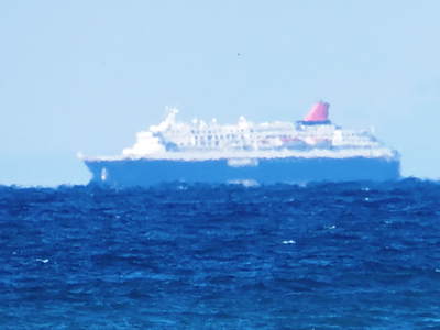 駿河湾に☆にっぽん丸☆でっけー