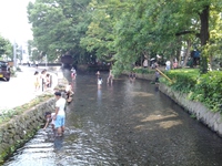 三島市：猛暑を涼しく過ごすにはここ、白滝公園での水遊び