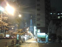 三島市：三連休のなか日。東京の夜は、寂しい。
