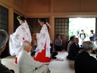 三島市；八乙女神社の祭典は今年も大盛況でした。