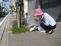 三島市：三島の街をきれいに：議員も皆さんとゴミひろい。