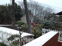 三島市；この冬初めての雪；三島市芙蓉台