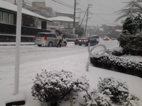 三島市 三島市内も大雪 住宅地の車道は立ち往生で混乱 三島市議会議員 野村りょう子 ブログ