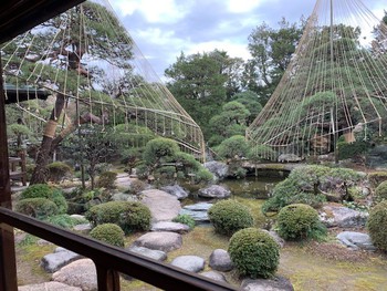 お江戸でお庭巡り。