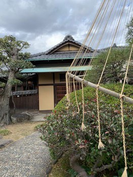 お江戸でお庭巡り。