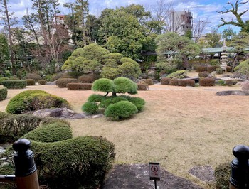 お江戸でお庭巡り。