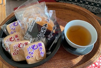 お江戸でお庭巡り。