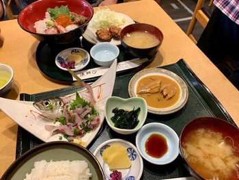 熱海桜。
