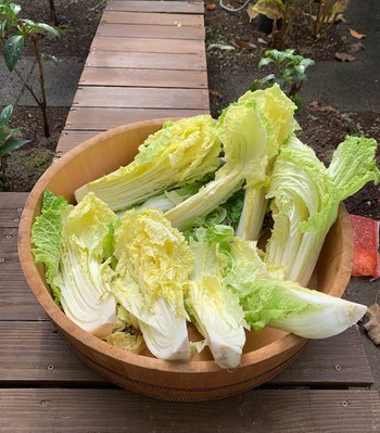 今日はこんなの作ってました。