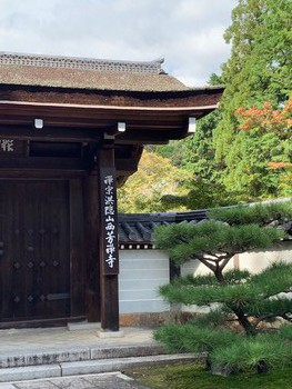 京都 西芳寺（苔寺）にて。