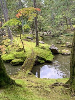 京都 西芳寺（苔寺）にて。