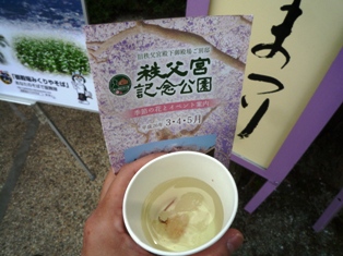秩父宮記念公園の桜まつり