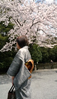 桜サクラ～❤
