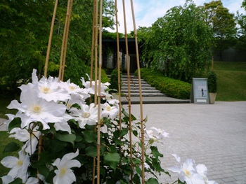 「ふたたびの出会い」～ＩＺＵ　ＰＨＯTO　ＭＵＳＥＵＭ