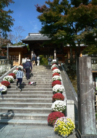 修善寺手づくり市　無事終了～❤。　