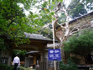 熱海梅園アートクラフトフェスティバル