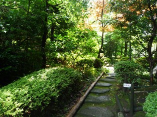 小田原の邸園を歩く。