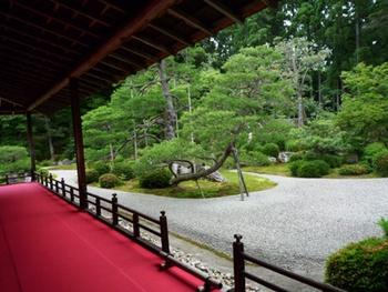 京都　曼殊院門跡