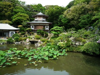 鎌倉さんぽ～光明寺と鏑木清方記念美術館