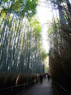 京都　嵯峨野ぶら～り