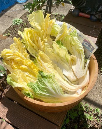 今日はコレ作ってました。