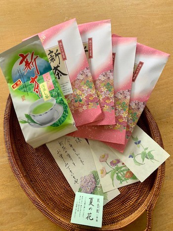 皐月五月弐週目。