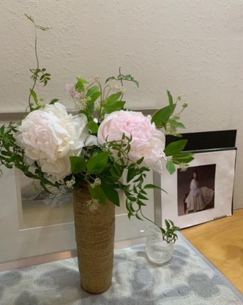 芍薬の花。