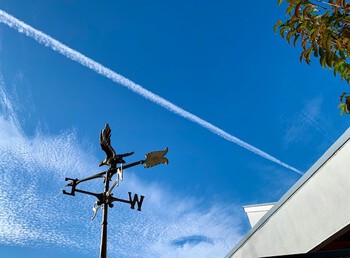 霜月秋空。