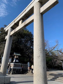 三嶋大社の新春雲海。