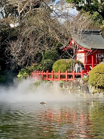 三嶋大社の新春雲海。