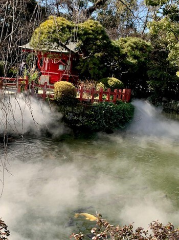 三嶋大社の新春雲海。