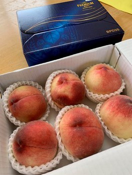 文月七月四週目。